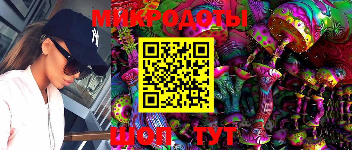 Галлюциногенные грибы Psilocybine cubensis Владимир