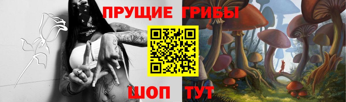Галлюциногенные грибы Cubensis  Вход с VPN  Владимир  Псилоцибиновые грибы Psilocybine cubensis 